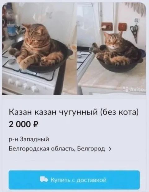 Чугунный казан без кота