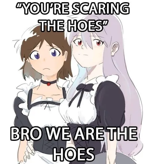 You're Scaring the Hoes Anime Maids