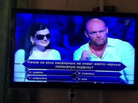 Вопрос про жёлто-чёрных насекомых