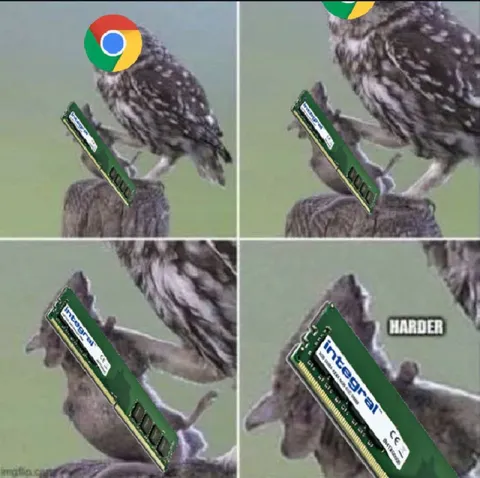 Owl Getting Harder