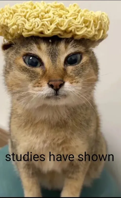 Studies Have Shown Cat
