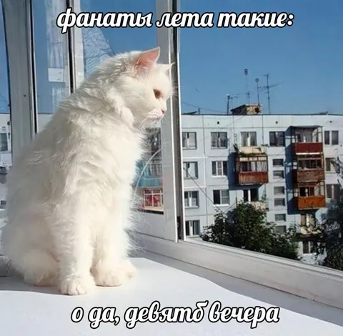 Фанаты лета ждут вечера