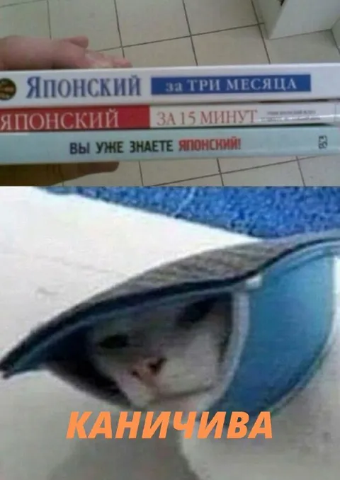 Японский за три месяца