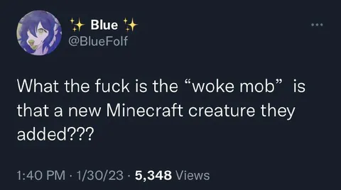 Woke Mob Minecraft Creature