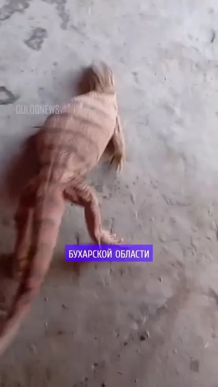 Новости, которые мы заслужили