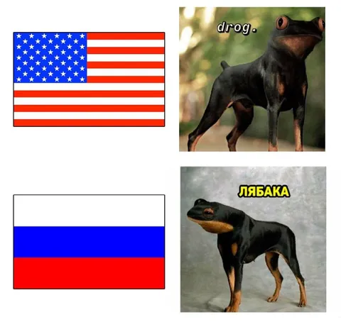 Америка и Россия как собаки