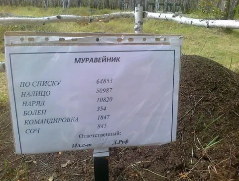 Муравейник с армейской статистикой