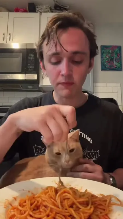 Cat Watches Man Eat Spaghetti