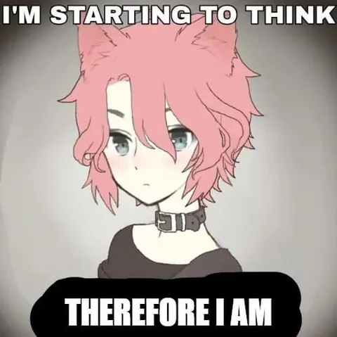 I Think Therefore I Am