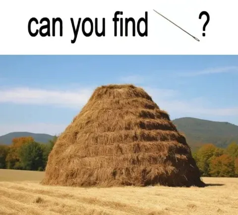 Find the Needle in the Haystack