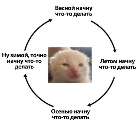 Круглый год начну что-то делать