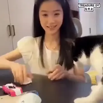 Кошка превращает машинки в коня