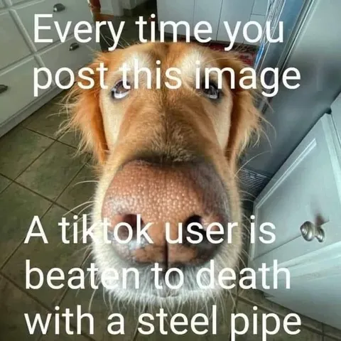 TikTok User Steel Pipe Warning