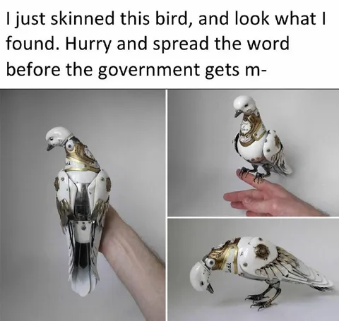 I Just Skinned This Bird