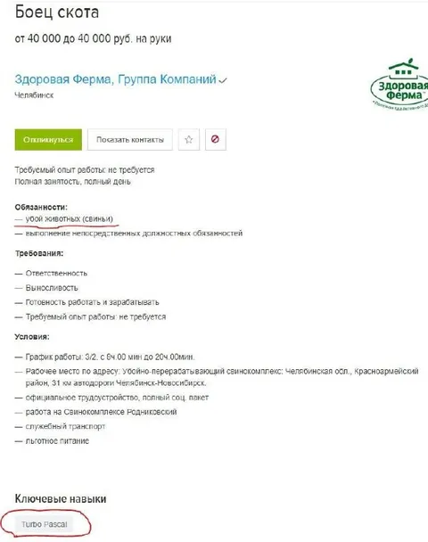 Боец скота со знанием Turbo Pascal
