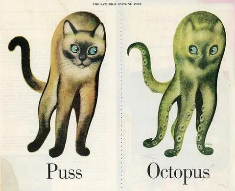 Puss Octopus Wordplay