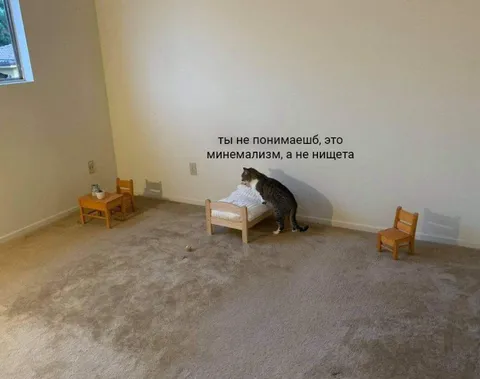 Это минимализм, а не нищета
