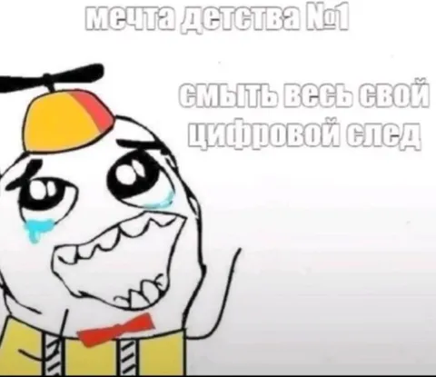 Мечта детства — смыть цифровой след