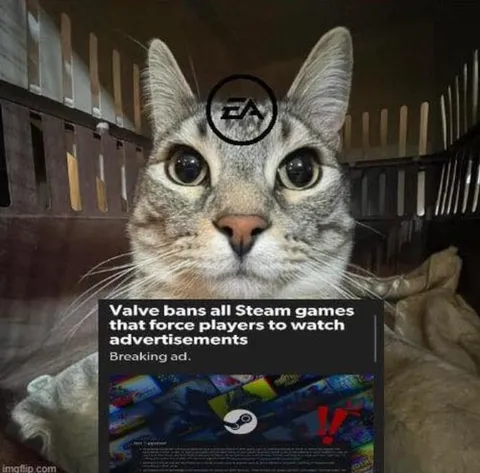 Cat Reacts to Steam Ad Ban
