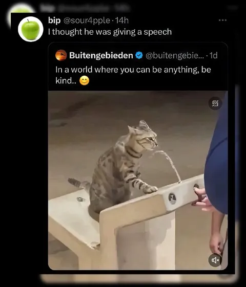 Cat Gives a Speech