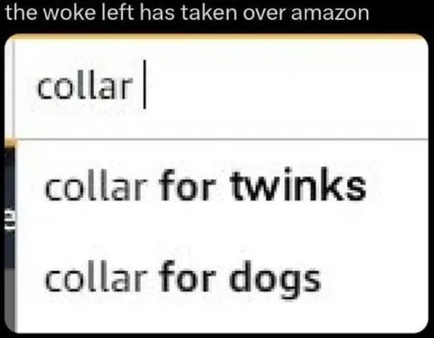 Woke Left Amazon Search