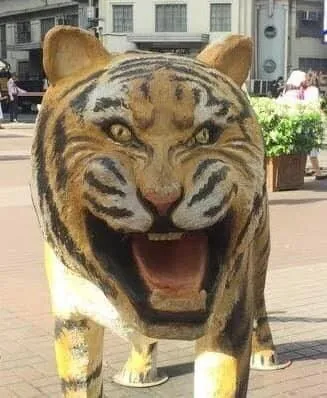 Странно выглядящий тигр