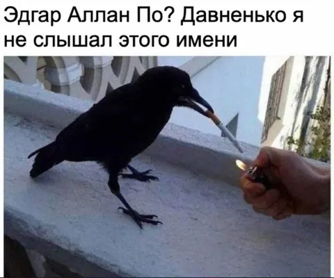 Ворон Эдгара Аллана По