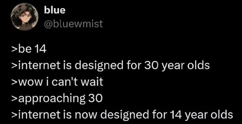 Internet Designed for 14-Year-Olds