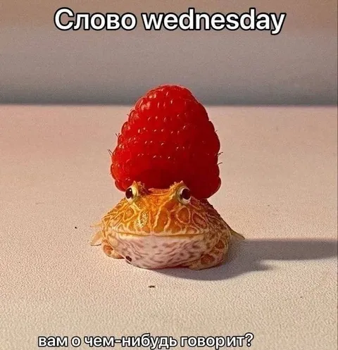Слово Wednesday вам о чем-нибудь говорит