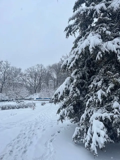 Снег в кубанском парке