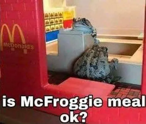 Is McFroggie Meal OK?