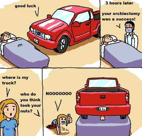 Orchiectomy Truck Theft