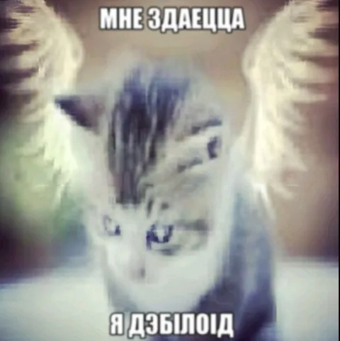 Мне здаецца я дэбилоид