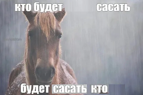 Кто будет сасать