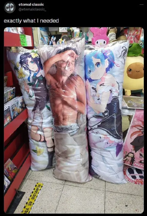 Exactly What I Needed Anime Pillows