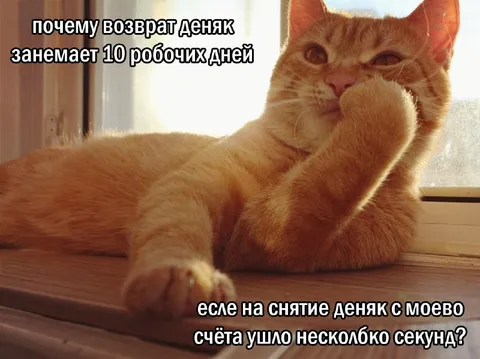 Возврат денег занял 10 рабочих дней