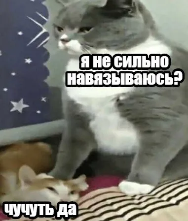 Я не сильно навязываюсь?