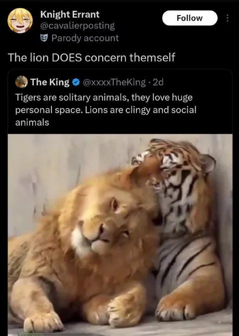 The Lion Does Concern Themself