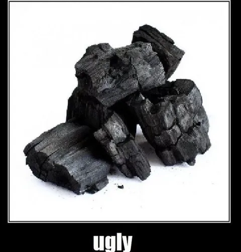 Ugly Charcoal Sculpture