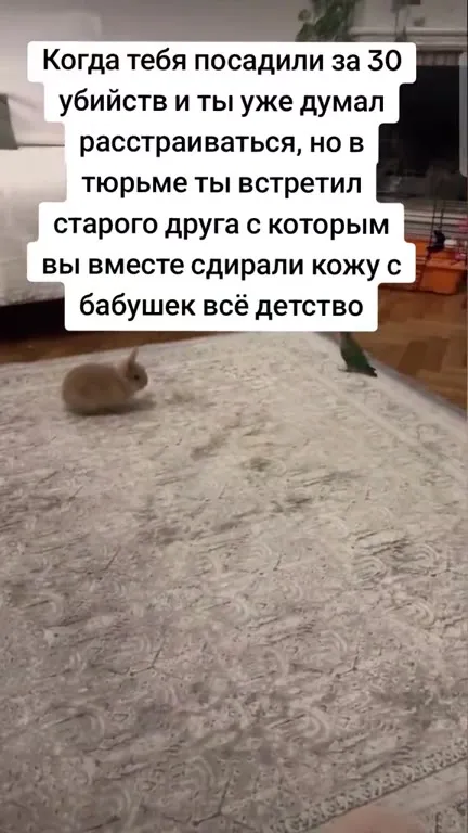 Когда встретил друга в тюрьме