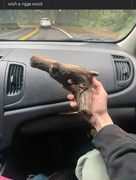 Wish a N-word Wood