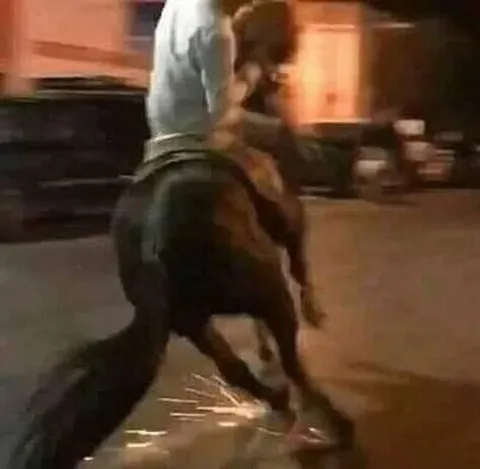 Наездник на быке ночью