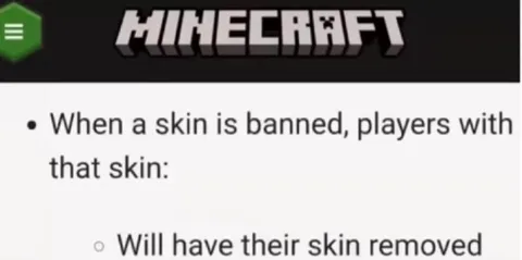 Minecraft Skin Ban Consequences