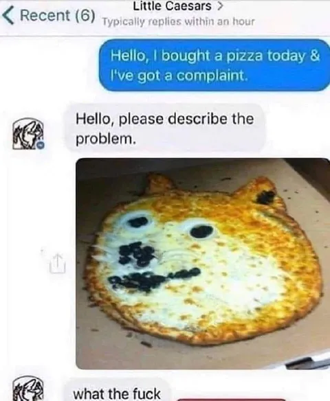 Pizza Complaint Cat Face