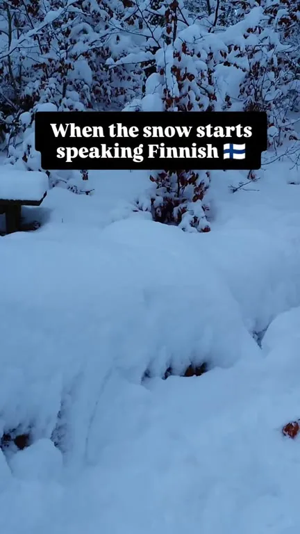 When Snow Speaks Finnish