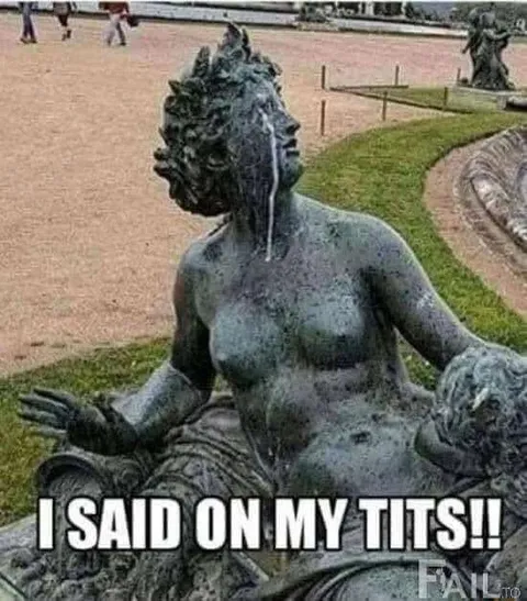 I Said It On My Tits