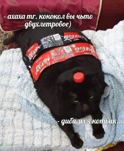 Кот в упаковке Кока-Колы