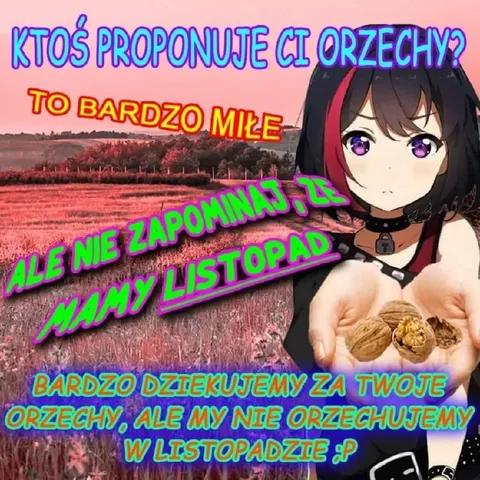 Orzechy w listopadzie