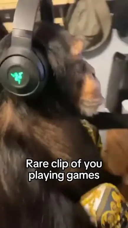 Rare Clip of You Playing Games