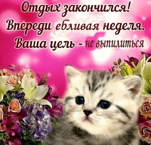 Отдых закончился, впереди неделя